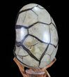 Septarian Dragon Egg Geode - Black Crystals #72051-2